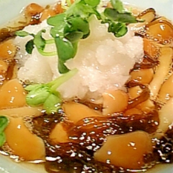 上品な一品に なめこのもずくおろし和え レシピ 作り方 By オクハマモ 楽天レシピ 上品な一品に なめこのもずくおろし和え レシピ 作り方 By オクハマモ 楽天レシピ